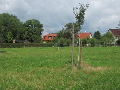 Obstwiese_14.7.14_ue.jpg