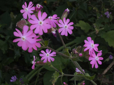 K1024_DSCF4169.JPG