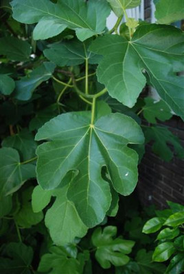 D0427_Small.JPG