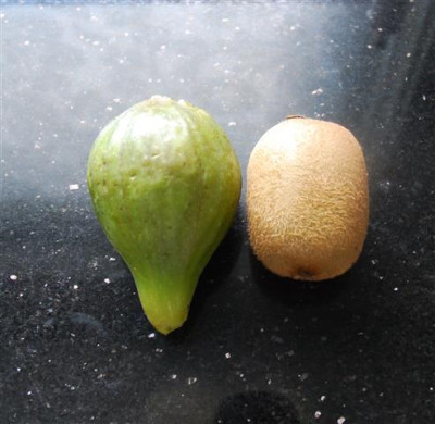 D0422b_Small.jpg