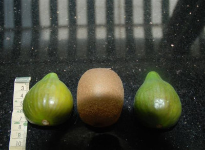 D0431a_Small.jpg