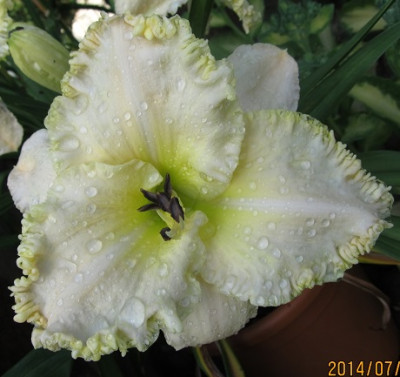 IMG_5323_small.JPG