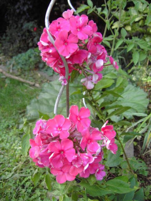 PICT9397-001.JPG