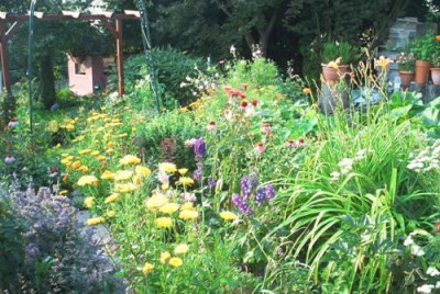 Gartenwildnis4.jpg