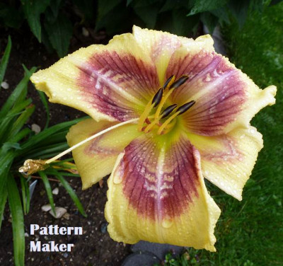 Pattern-Maker-P1040954.JPG