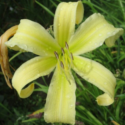 GT12-GA1209_1353.jpg