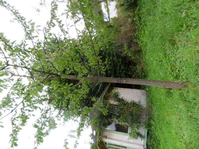 tmp_29720-SDC13942-940035543.jpg