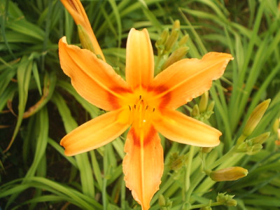 02-B6.jpg