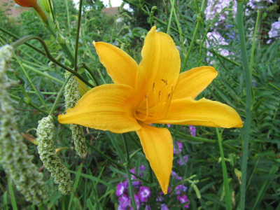Berleyer_Septembersonne_140808.jpg