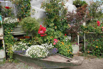 verkleinert-089a.jpg