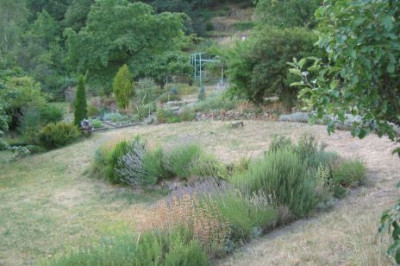 Garten20050718.jpg
