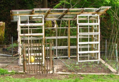 tomatenhaus_pur.jpg