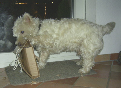 eddie_geschenk_2.jpg