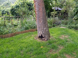 20140729_14443000004.jpg
