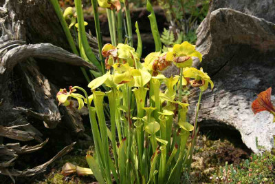 verkleinert-187a.jpg