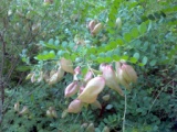 IMG_20140714_114817.jpg