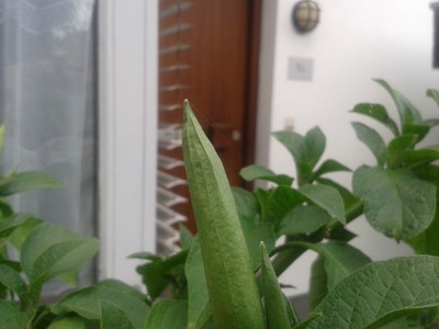 20140812_121542.jpg