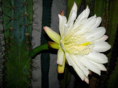 20130620_225547d.jpg