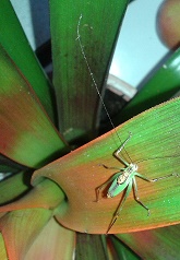 20140812_164821.jpg