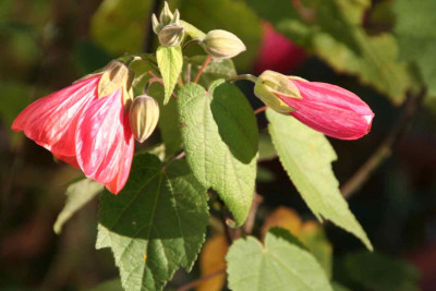 Test_IMG_8696.jpg