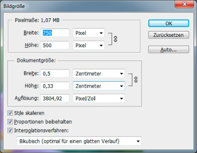 Anemonen-Info.jpg