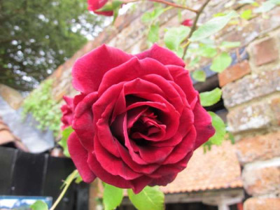 IMG_4304_web.jpg