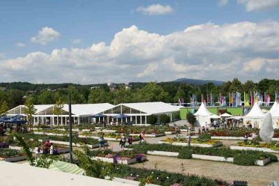 verkleinert-348.jpg