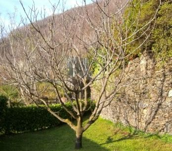 Feigenbaum_0175_3.jpg