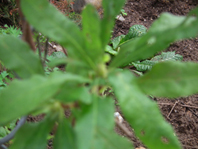 DSCF1762.JPG