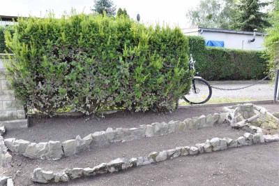 meinegartenhecke24.jpg