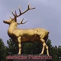 Platzhirsch200.jpg