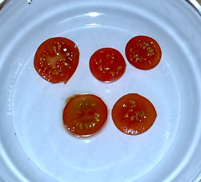 Coctailtomaten20.07.05.JPG