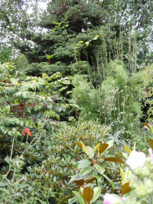 Monsun_August_2014_xxxxxx.JPG