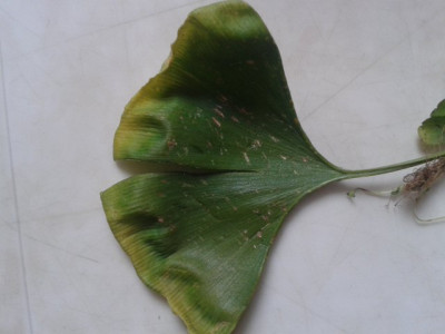 20140823_132354.jpg