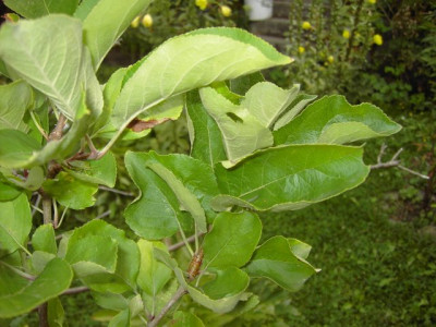 PICT9938.JPG