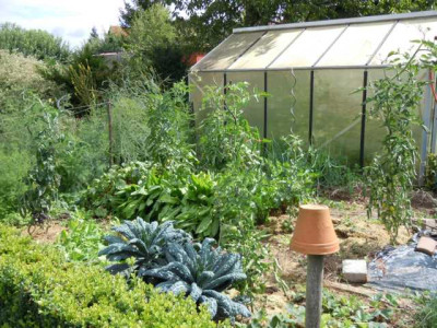 Gemusegarten_August_2014.JPG