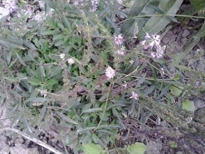 2014-08-20_16.24.36.jpg