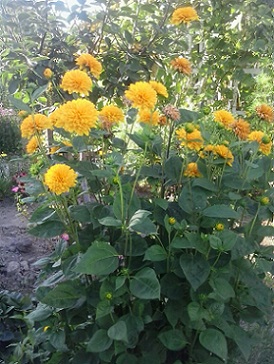 2014-08-12_18.36.05.jpg