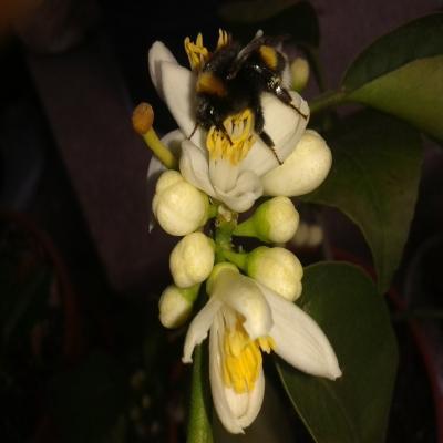 20140821_085429_avatar.jpg