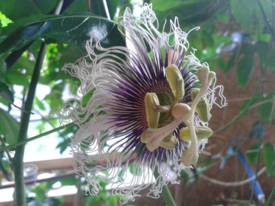20140731_200545.jpg