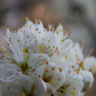 DSCN0537_avatar.jpg