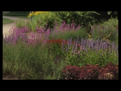 Klostergarten_Heiligengrabe.jpg