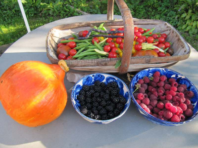 Ernte_140827.jpg