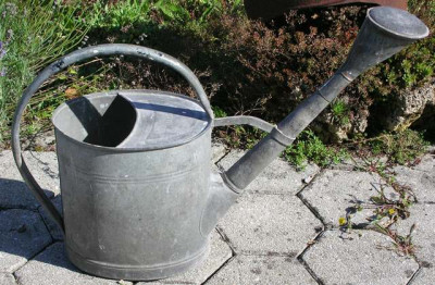 Svitavia_1.jpg