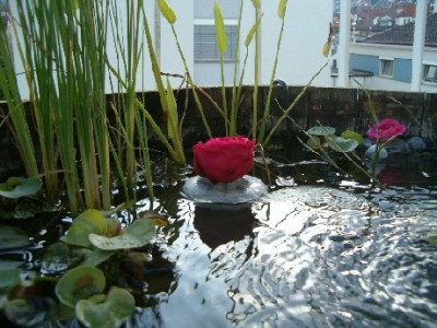 230705_017.jpg