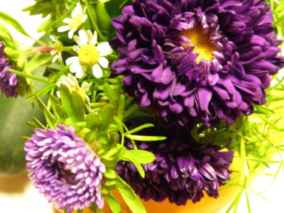 P9010006.JPG