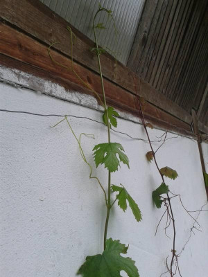 20140902_161156.jpg