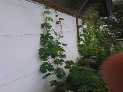 20140902_161136.jpg
