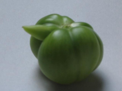 tomatchen.JPG