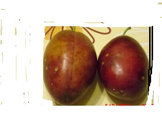 CIMG2122.JPG